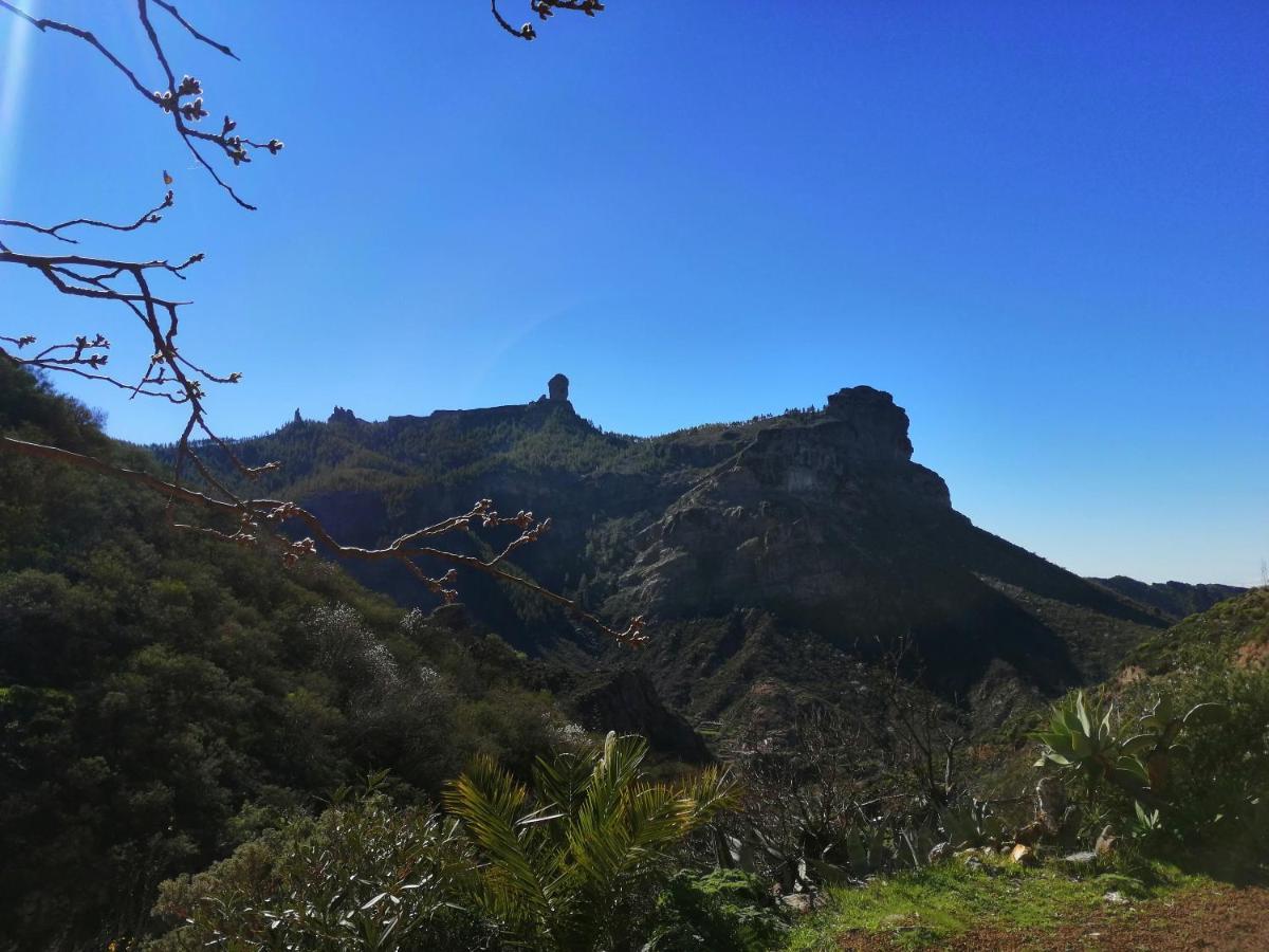 Casa Los Manantiales Tejeda  Eksteriør bilde